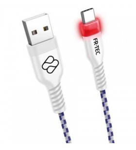 Cable USB 2.0 Blade FR FT0030